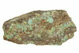 Polished Turquoise Section - Number Mine, Carlin, NV #244465-1